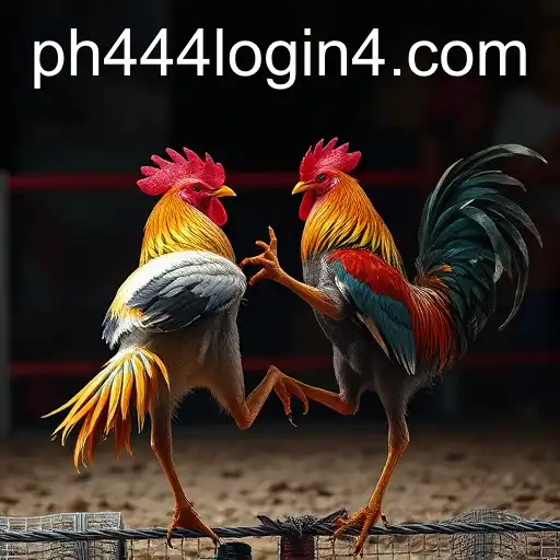 Exploring the World of Online Sabong: Understanding PH444 com Login
